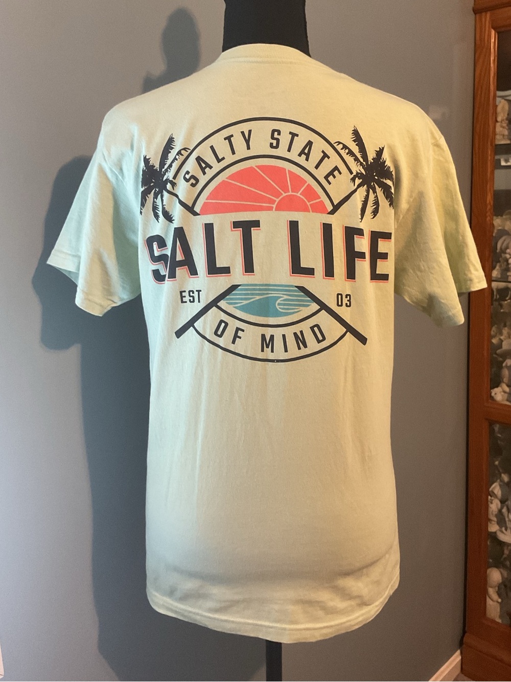 Salt Life Men’s Pale Mint Short Sleeve Graphic Tee
